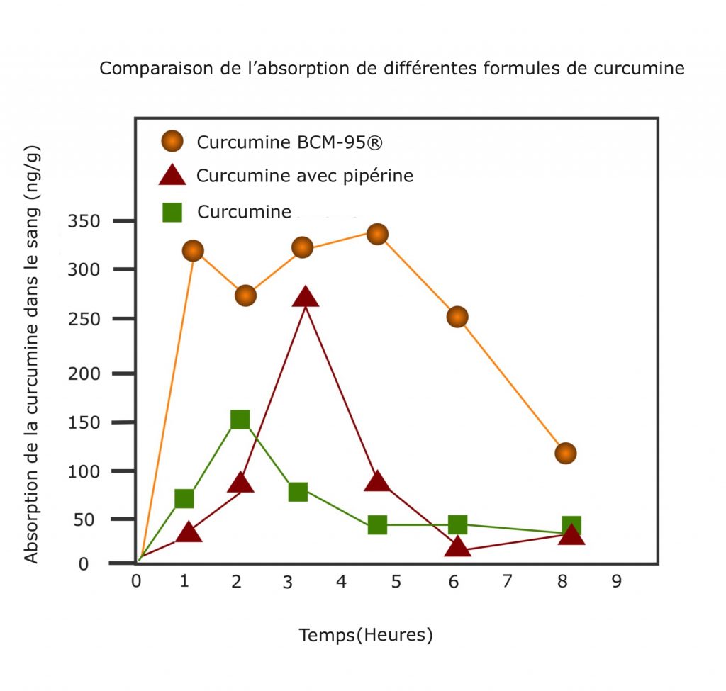 Synofit Bio-Curcumine BCM-95®